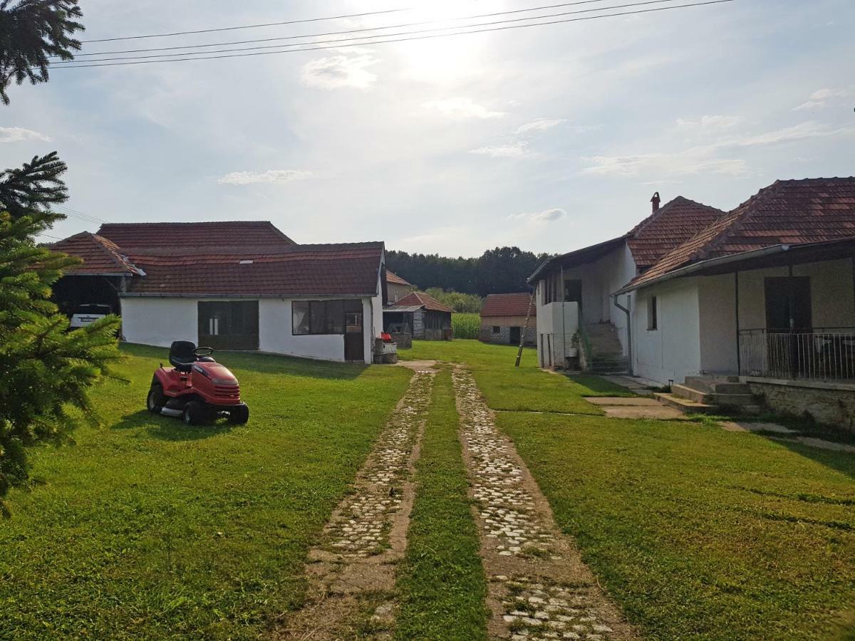 Green Apartments Kursumlija Exterior photo